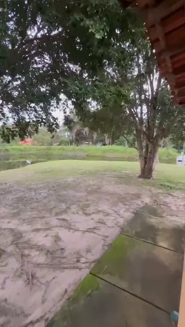 Varanda à sombra da mangueira — Casa Jibóia, Sítio Bambu Rede