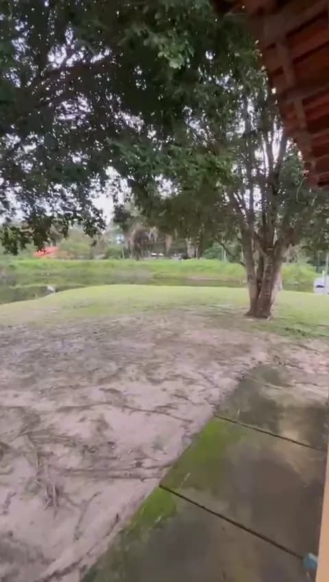 Varanda à sombra da mangueira — Casa Jibóia, Sítio Bambu Rede