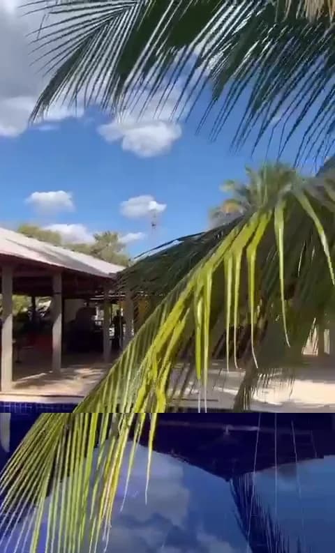 A piscina sob os coqueiros — Chalé Babaçu, Sítio Bambu Rede