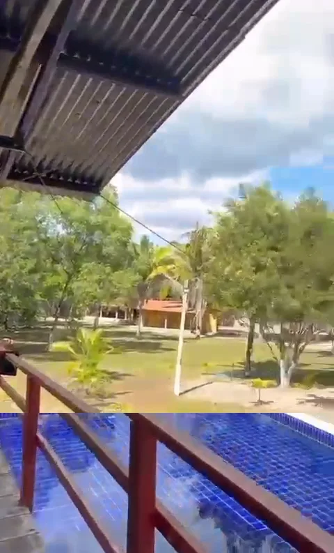Vista do deck para o gramado — Chalé Babaçu, Sítio Bambu Rede