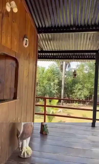 O chalé de madeira sobre a piscina — Chalé Babaçu, Sítio Bambu Rede