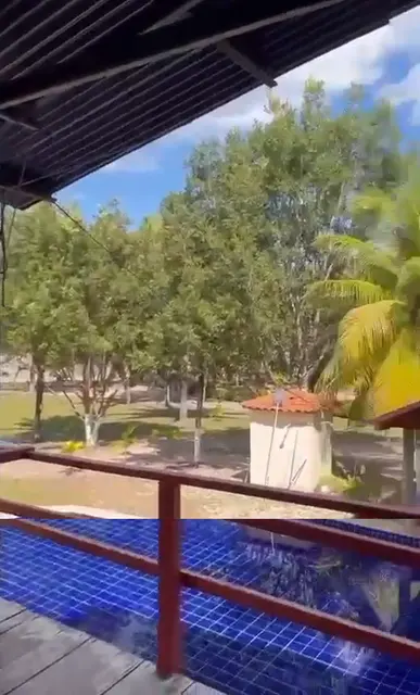 Deck e piscina entre as árvores — Chalé Babaçu, Sítio Bambu Rede