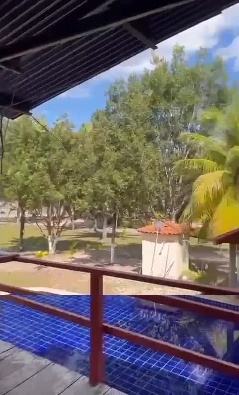 Deck e piscina entre as árvores — Chalé Babaçu, Sítio Bambu Rede