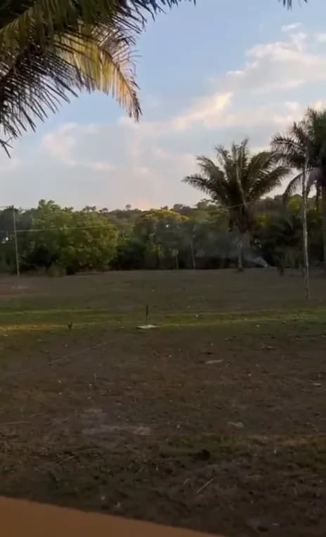 Coqueiros no fim da tarde — Chalé Luar, Sítio Bambu Rede