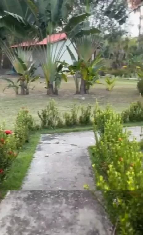 Caminho do jardim — Chalé Luar, Sítio Bambu Rede