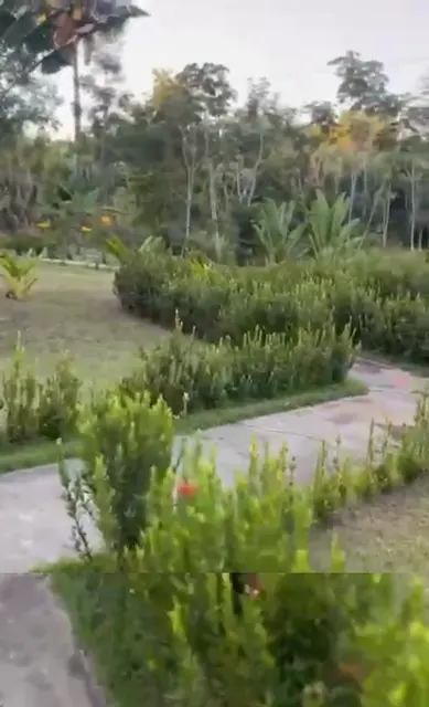 Jardim entre os canteiros — Chalé Luar, Sítio Bambu Rede
