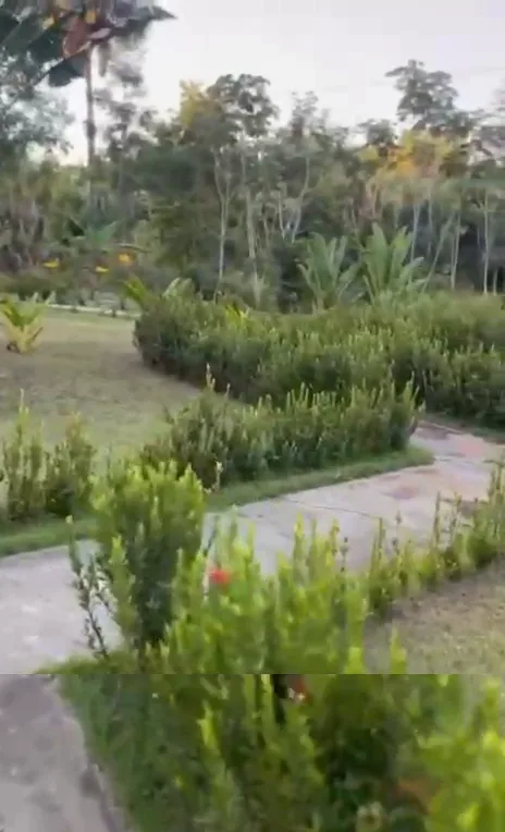 Jardim entre os canteiros — Chalé Luar, Sítio Bambu Rede