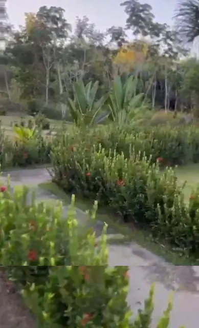 O jardim do sítio — Chalé Luar, Sítio Bambu Rede